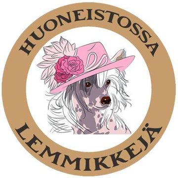 HUONEISTOSSA LEMMIKKEJÄ tarra - KIINANHARJAKOIRA ja hattu Decopaja - decopaja.fi