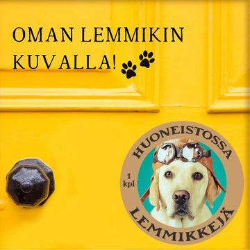 HUONEISTOSSA LEMMIKKEJÄ -TARRA OMAN LEMMIKIN KUVALLA Decopaja