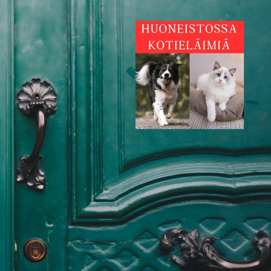 HUONEISTOSSA LEMMIKKEJÄ -TARRA OMAN LEMMIKIN KUVALLA NELIÖ Decopaja