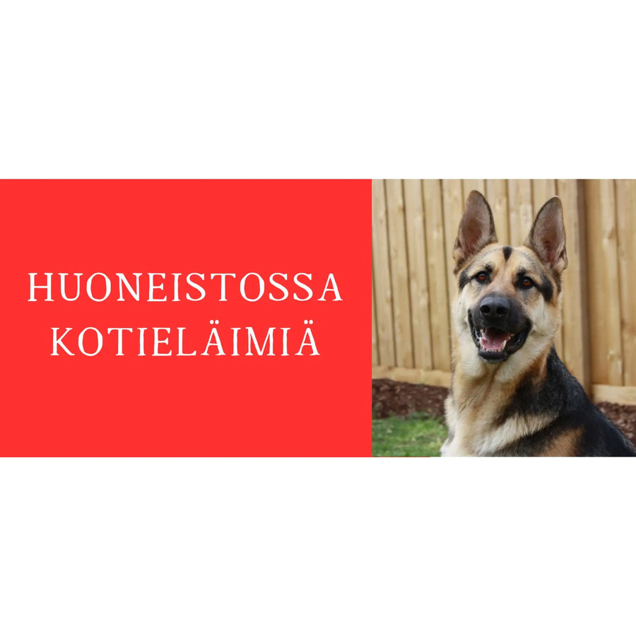 HUONEISTOSSA LEMMIKKEJÄ -TARRA OMAN LEMMIKIN KUVALLA suorakaide Decopaja
