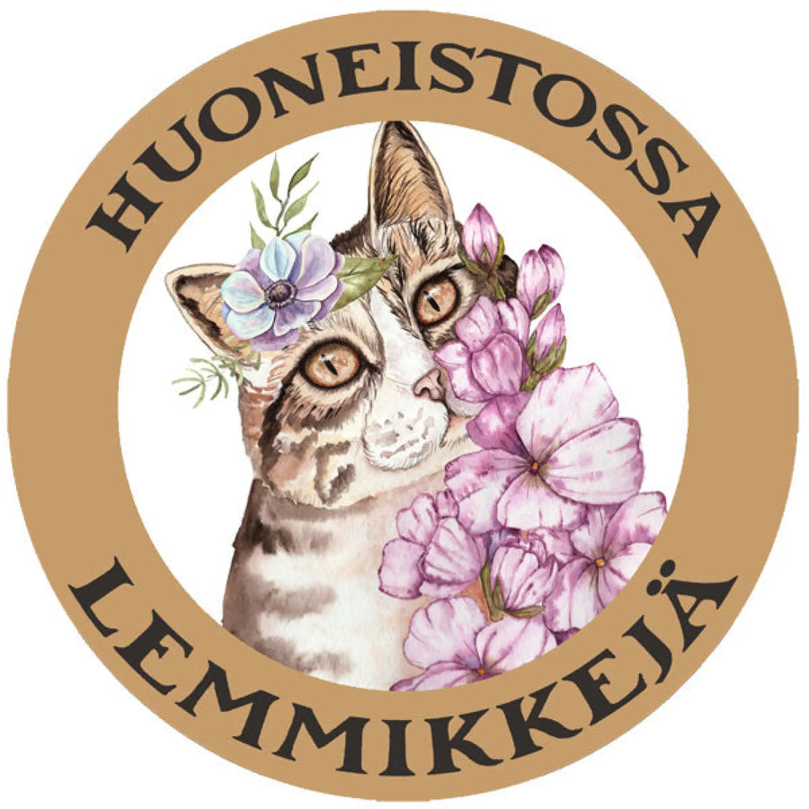 HUONEISTOSSA LEMMIKKEJÄ TARRA - ruskea raidallinen kissa Decopaja