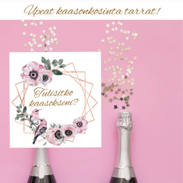 ’Tulisitko kaasokseni?’ -TARRA KULTAINEN KEHYS PINKIT KUKAT Decopaja Decopaja.fi