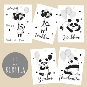 VAUVAKORTIT MILESTONES-KORTIT PANJA JA ILMAPALLOT🐼 Decopaja Decopaja.fi